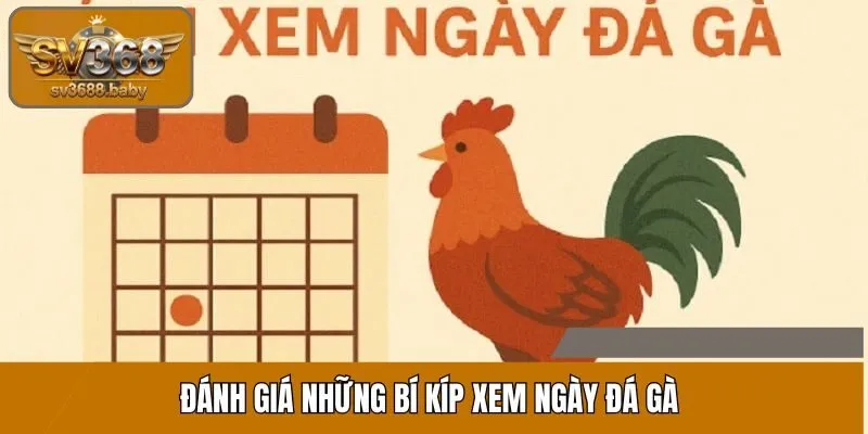Đánh giá những bí kíp xem ngày đá gà Đánh giá những bí kíp xem ngày đá gà