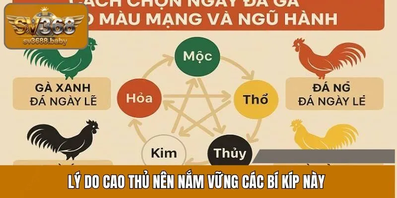 Lý do cao thủ nên nắm vững các bí kíp này Lý do cao thủ nên nắm vững các bí kíp này