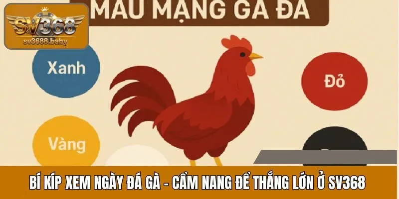 Bí Kíp Xem Ngày Gà Đá