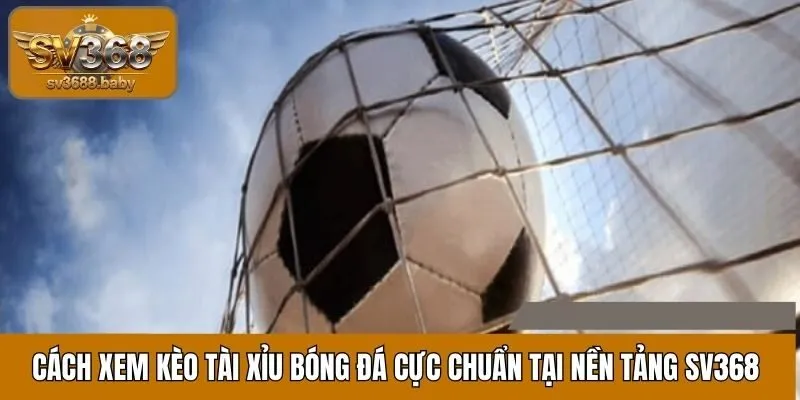 Cách Xem Kèo Tài Xỉu Bóng Đá