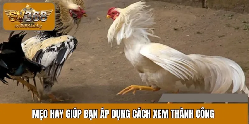 Mẹo hay giúp bạn áp dụng cách xem thành công Mẹo hay giúp bạn áp dụng cách xem thành công