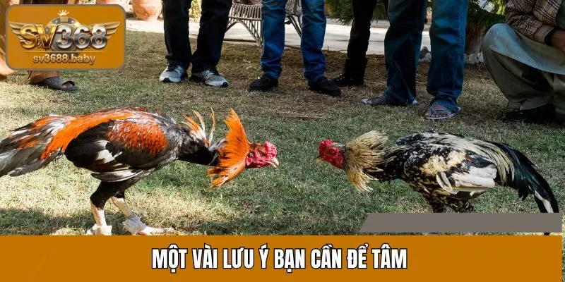 Một vài lưu ý bạn cần để tâm Một vài lưu ý bạn cần để tâm
