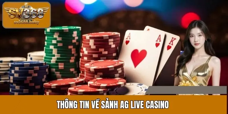 Sảnh AG Live Casino mang đến nhiều trải nghiệm thú vị cho người chơi Sảnh AG Live Casino mang đến nhiều trải nghiệm thú vị cho người chơi