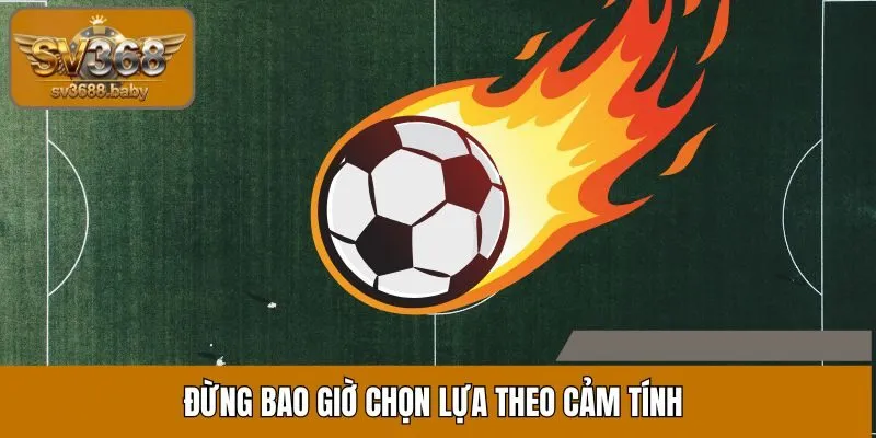 Đừng bao giờ chọn lựa theo cảm tính Đừng bao giờ chọn lựa theo cảm tính