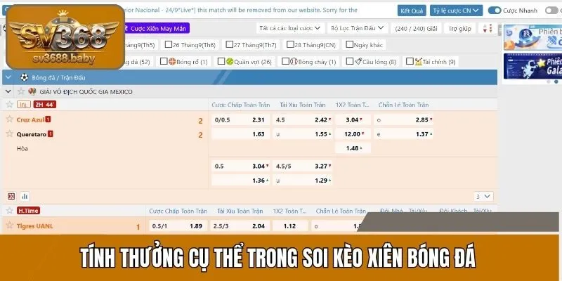 Tính thưởng cụ thể trong soi kèo xiên bóng đá Tính thưởng cụ thể trong soi kèo xiên bóng đá