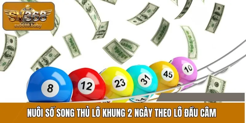 Nuôi số song thủ lô khung 2 ngày theo lô đầu câm Nuôi số song thủ lô khung 2 ngày theo lô đầu câm